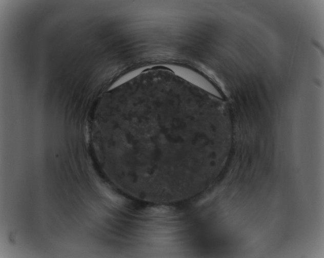 X0000091730069200709071510