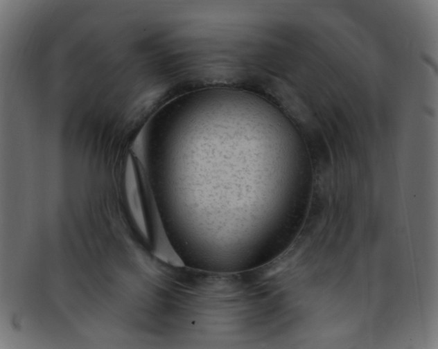 X0000091730070200709071510