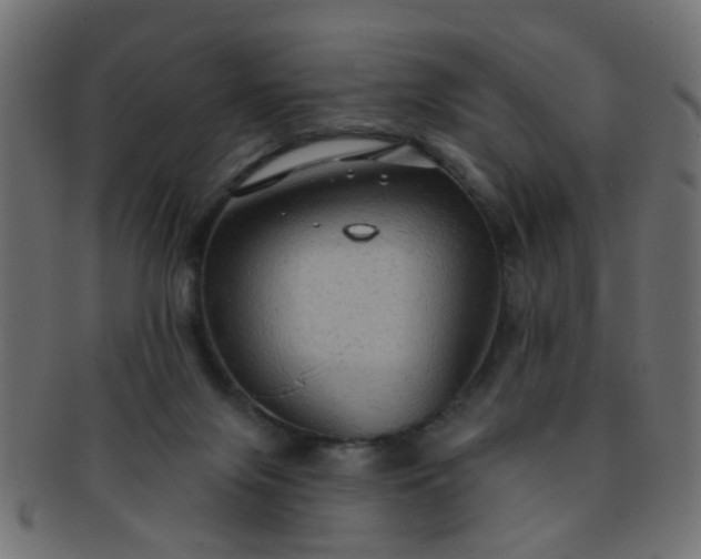 X0000091730071200709071510