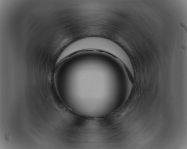 X0000091730072200709071510