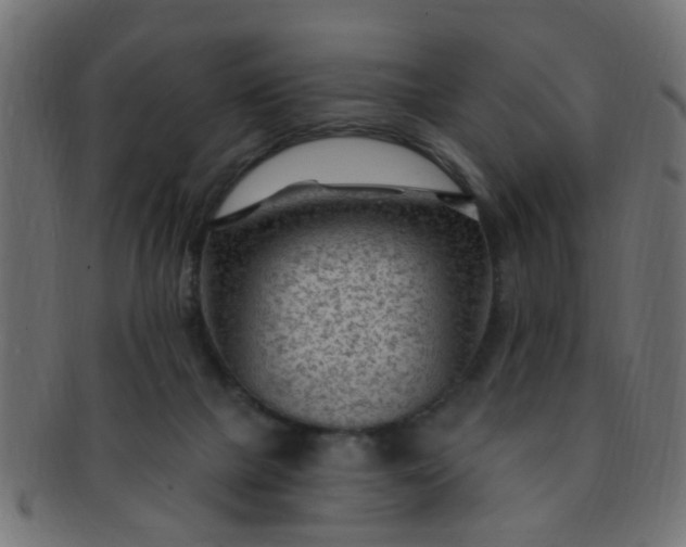 X0000091730073200709071510