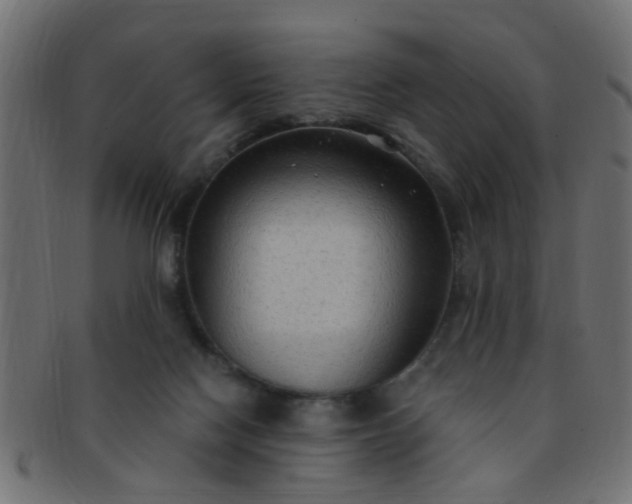 X0000091730074200709071510