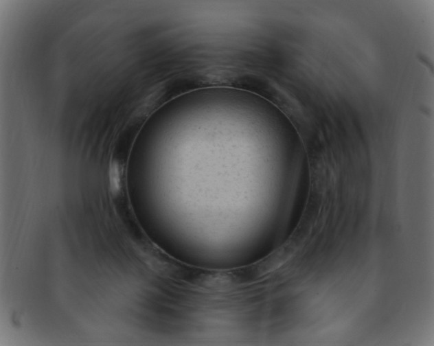 X0000091730075200709071510