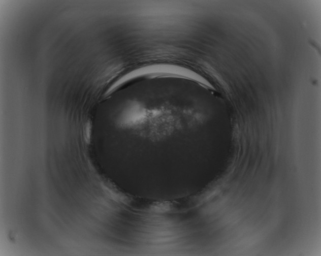 X0000091730076200709071510