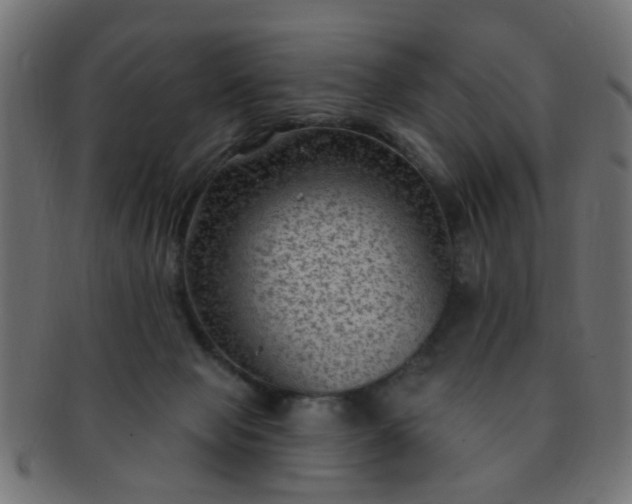 X0000091730077200709071510