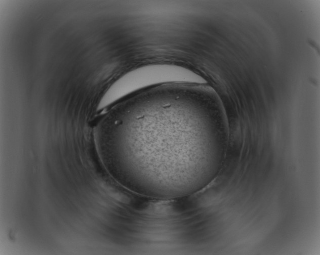 X0000091730078200709071510