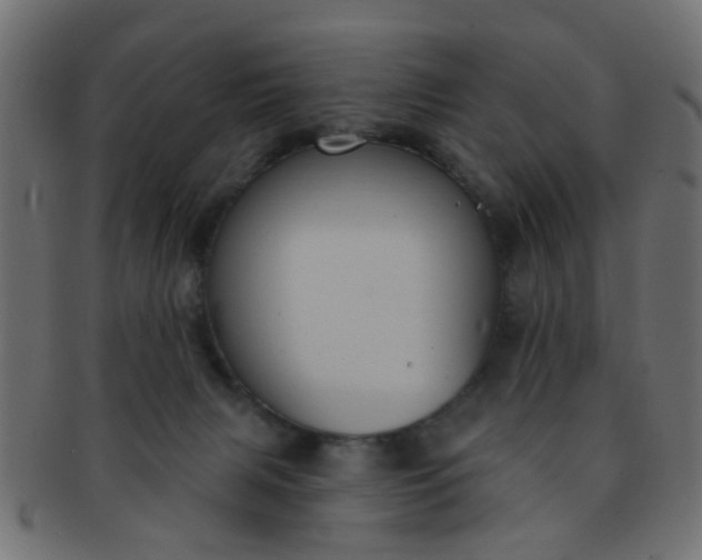 X0000091730079200709071510