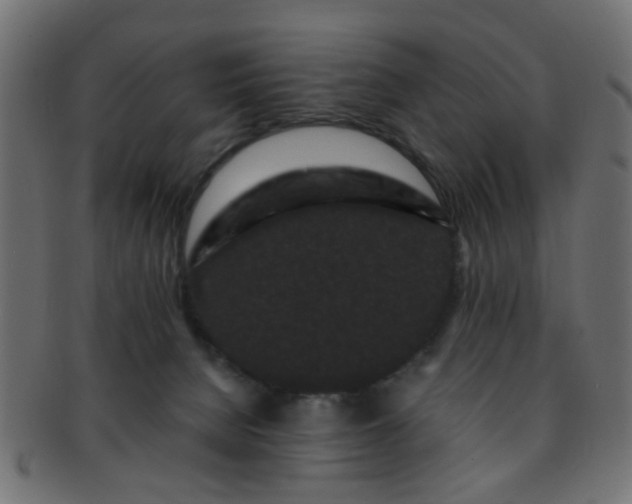 X0000091730080200709071510