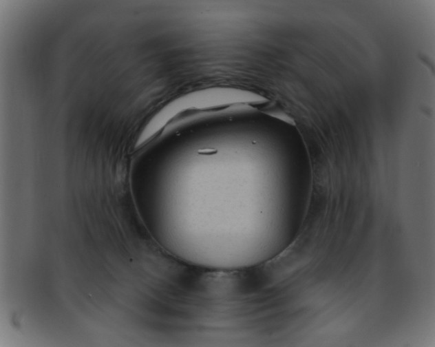 X0000091730082200709071510