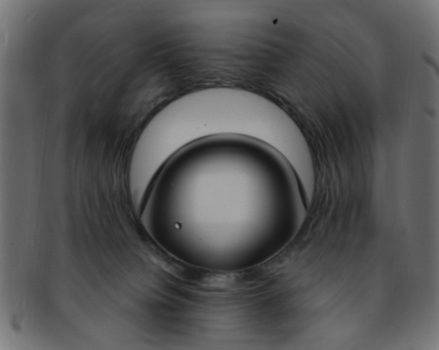 X0000091730084200709071510