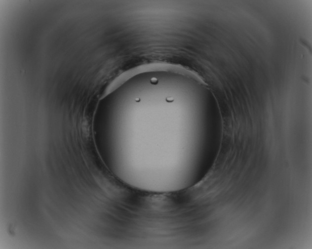 X0000091730086200709071510