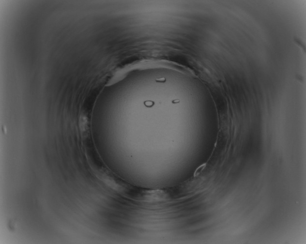 X0000091730087200709071510