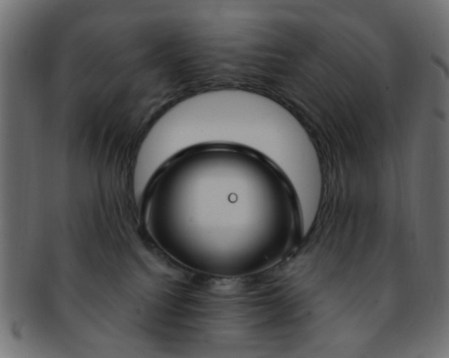 X0000091730088200709071510