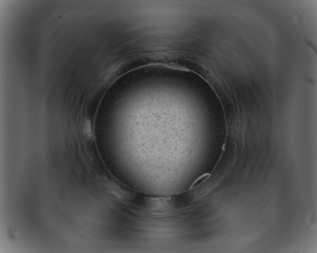 X0000091730089200709071510