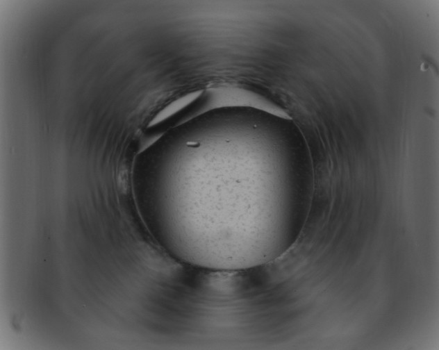 X0000091730090200709071510