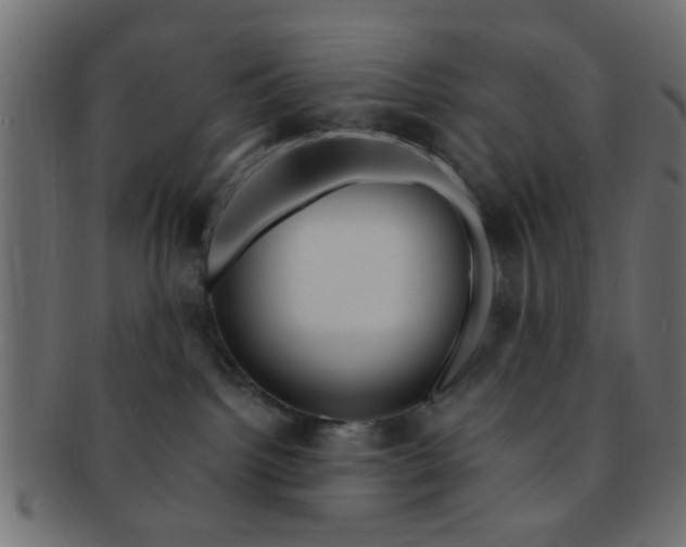 X0000091730092200709071510