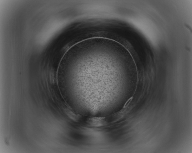 X0000091730093200709071510