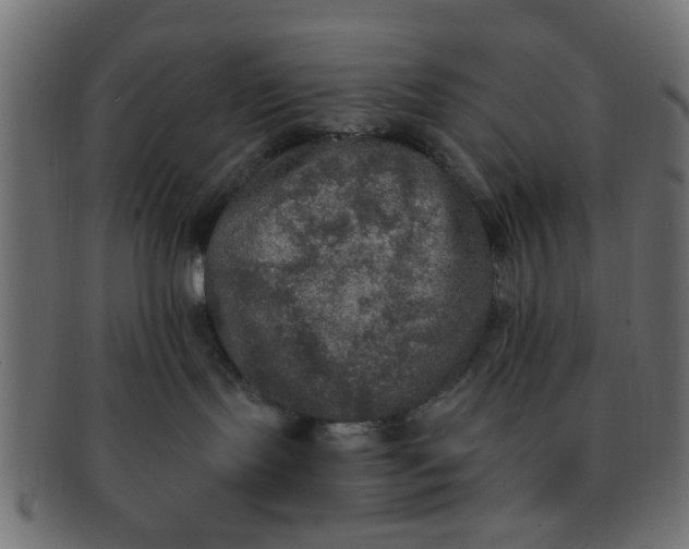 X0000091730095200709071510