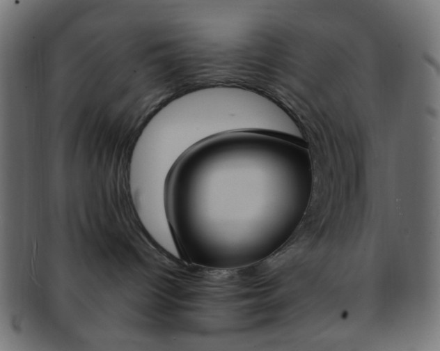 X0000091730096200709071510