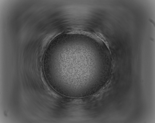 X0000091730097200709071509