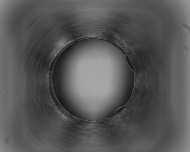 X0000091730098200709071509