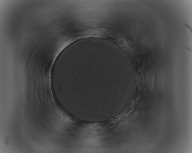 X0000091730100200709071509