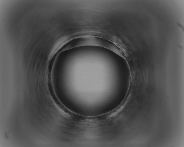 X0000091730101200709071509