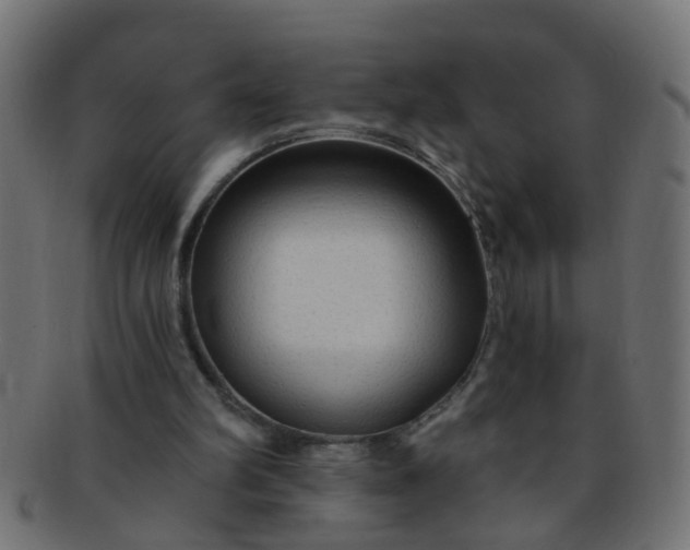 X0000091730102200709071509