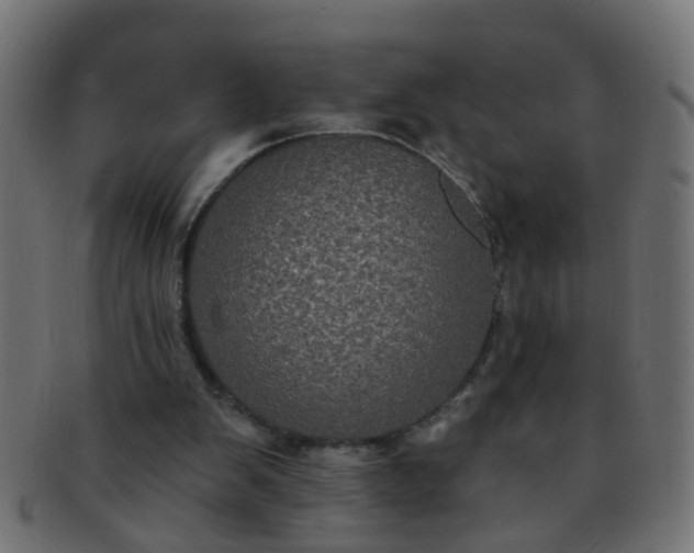 X0000091730103200709071509