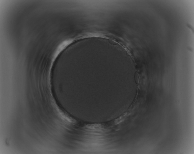 X0000091730104200709071509