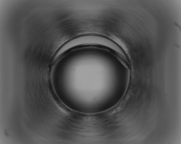 X0000091730105200709071509