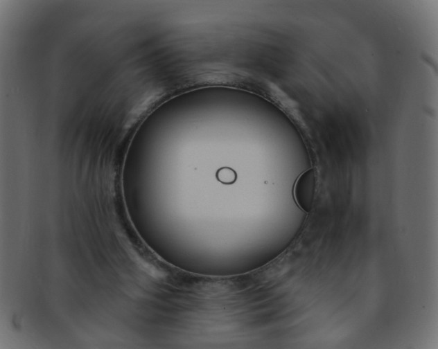 X0000091730106200709071509