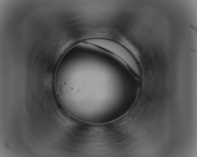 X0000091730107200709071509