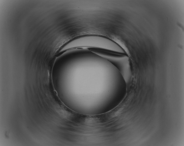 X0000091730109200709071509