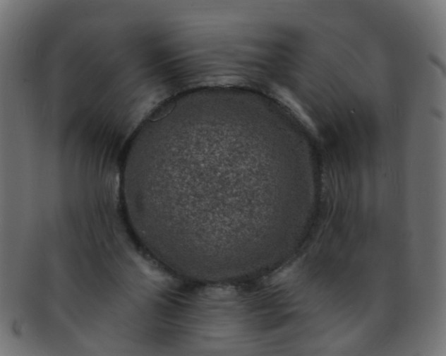 X0000091730110200709071509