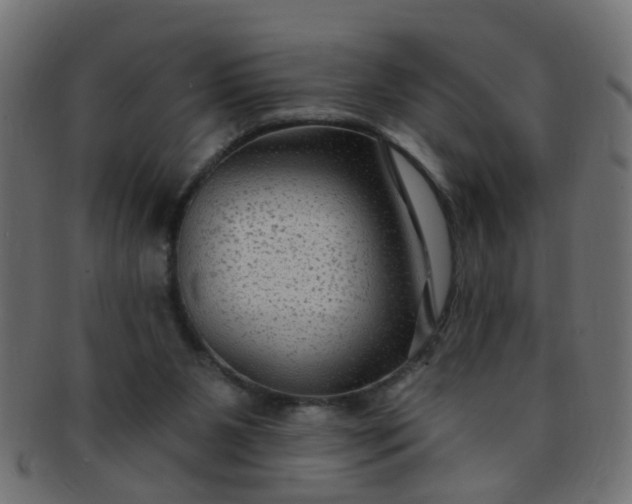 X0000091730111200709071509