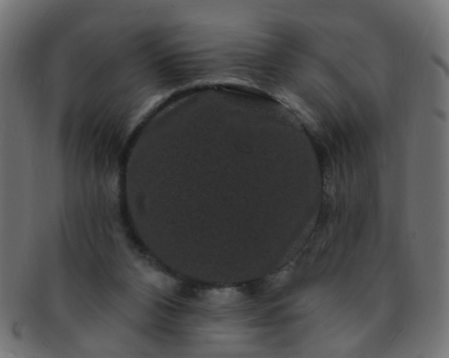 X0000091730112200709071509