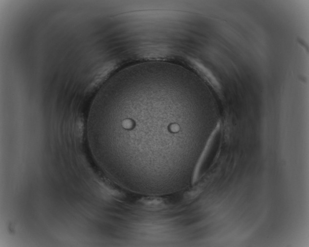 X0000091730113200709071509