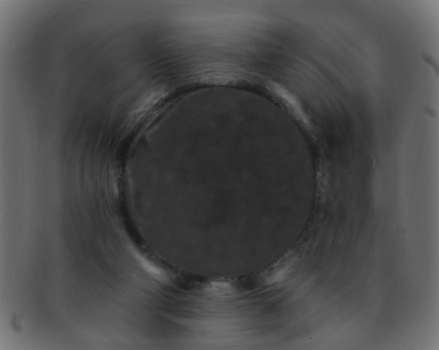 X0000091730114200709071509