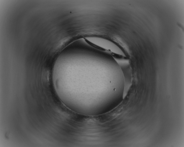 X0000091730115200709071509