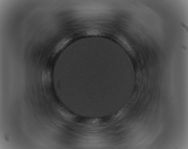 X0000091730116200709071509