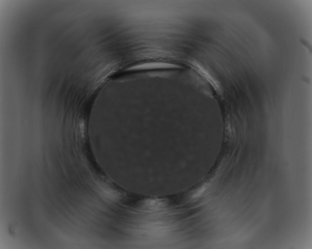 X0000091730117200709071509