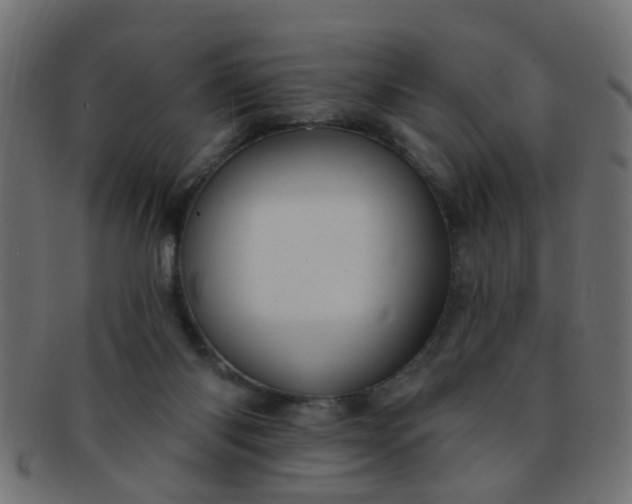 X0000091730118200709071509