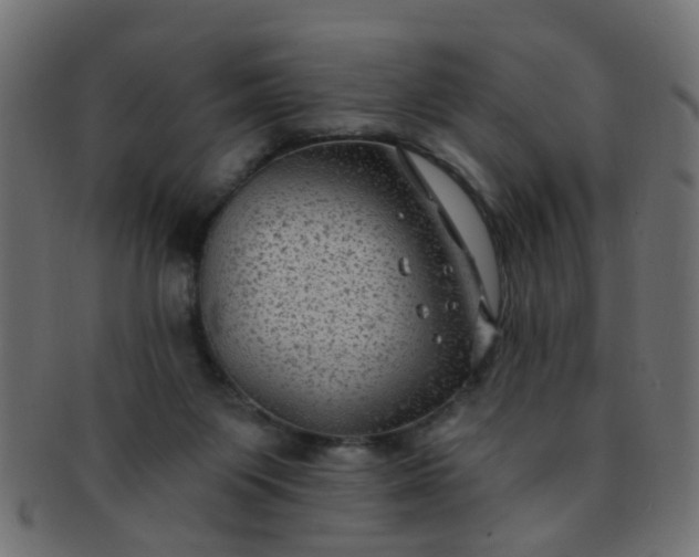 X0000091730119200709071509