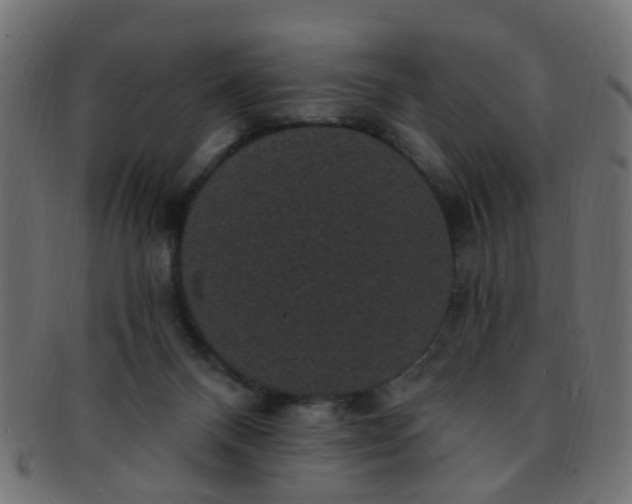 X0000091730120200709071509