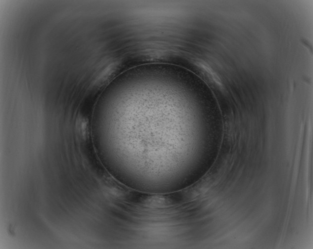 X0000091730123200709071509