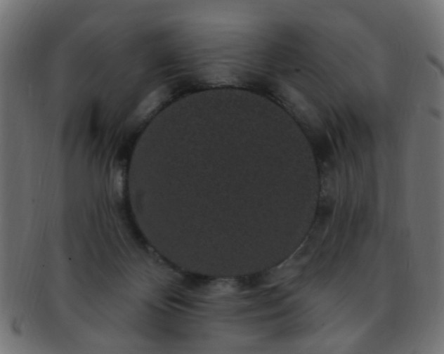 X0000091730124200709071509