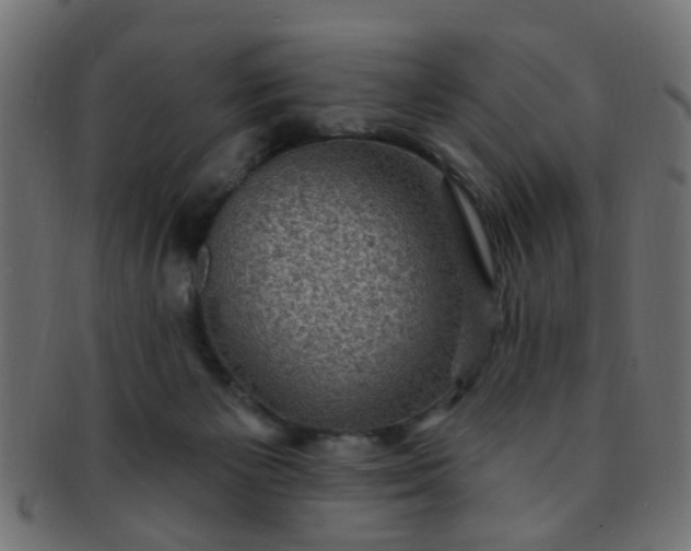 X0000091730125200709071509