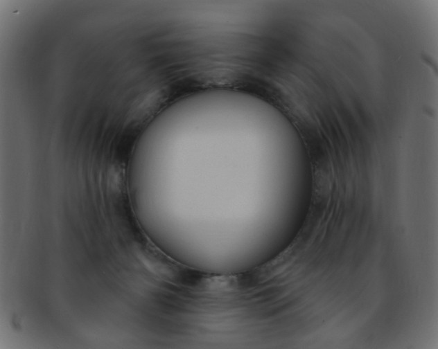 X0000091730126200709071509