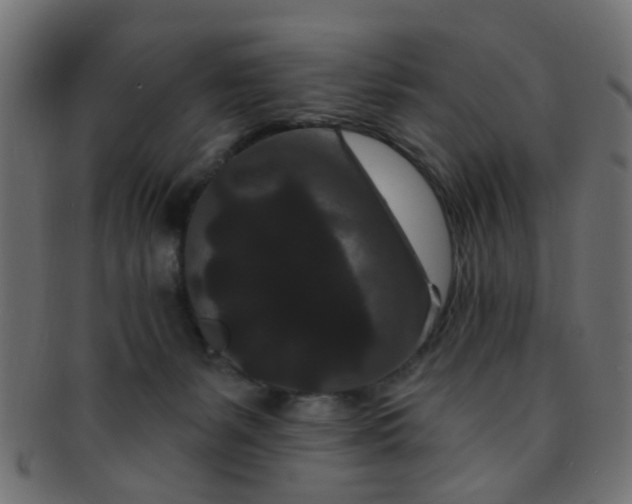 X0000091730127200709071509